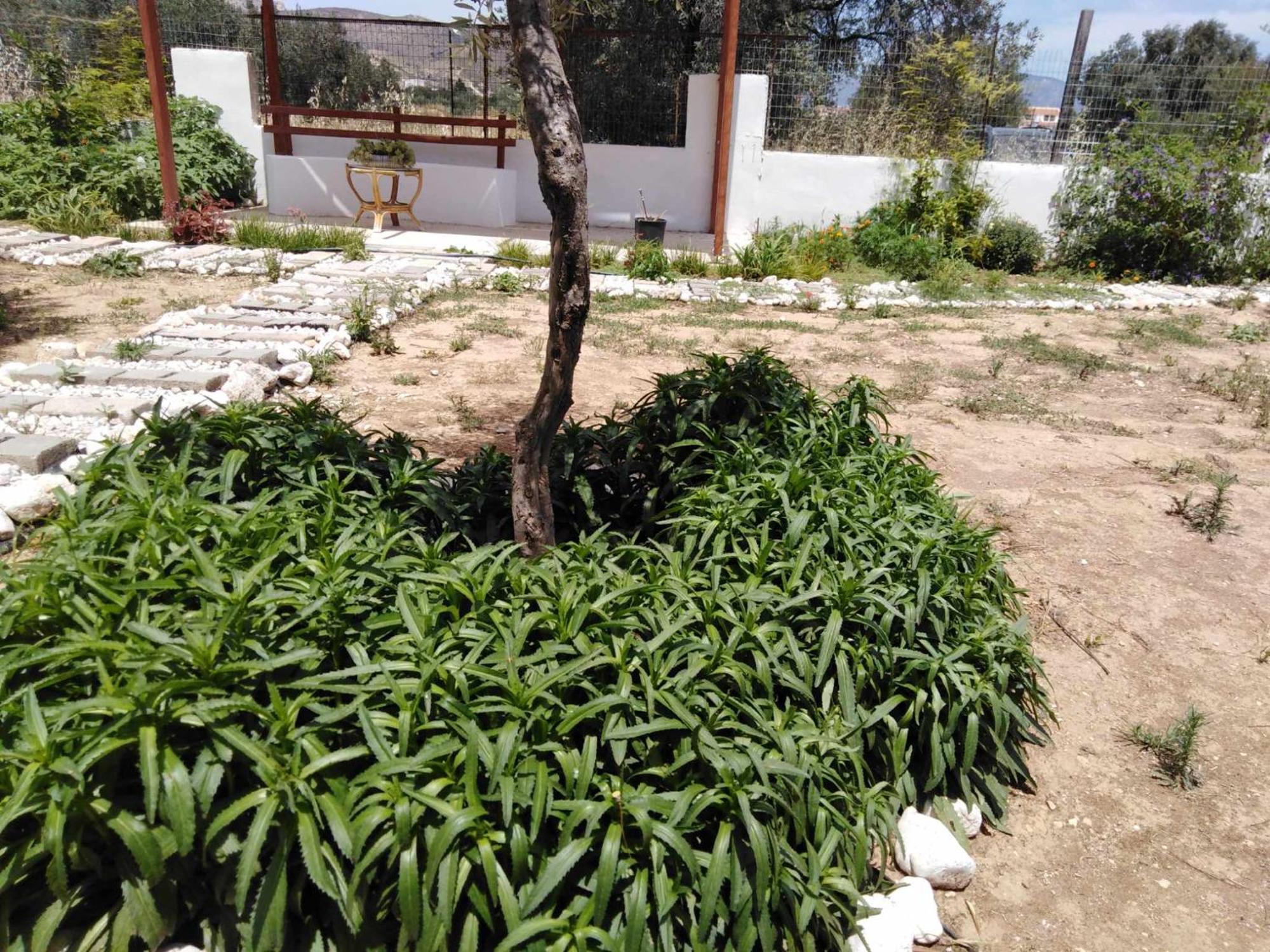 Alexadra'S House Κάτω Αλμυρήアパートメント エクステリア 写真